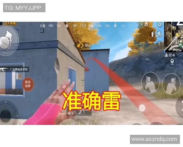 和平精英战术LNG的节奏体系解析与实战应用探讨
